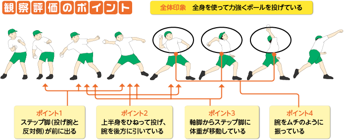 投動作(ボール投げ)の観察評価